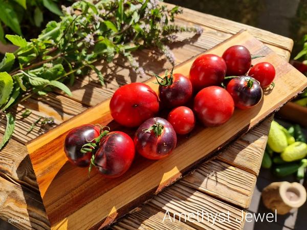 10 сортов полезных и вкусных помидоров с антоцианами! Семена (фото #2)