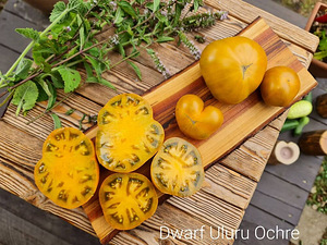 Семена вкусных сортовых томатов (2 фото из 10)