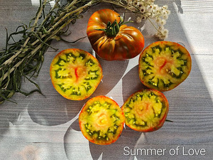 Семена вкусных сортовых томатов (8 фото из 10)