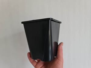 Kvaliteetsed kandilised potid 1l tomatiistikutele (2 foto / 4)