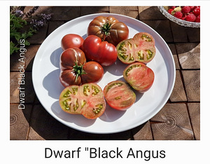 10 sordi maitsev ja eksootiline DWARF tomatit (seemned) (6 foto / 10)