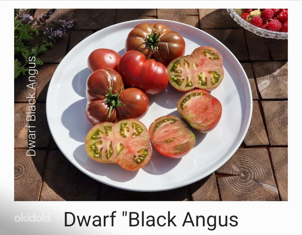 10 sordi maitsev ja eksootiline DWARF tomatit (seemned) (foto #6)
