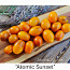 10 сортов вкусных и экзотических помидоров черри (семена) (фото #3)