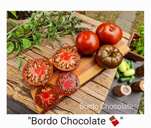 10 sordi ilus maitsev eksootiline liha tomatit (seemned) #3 (4 foto / 10)