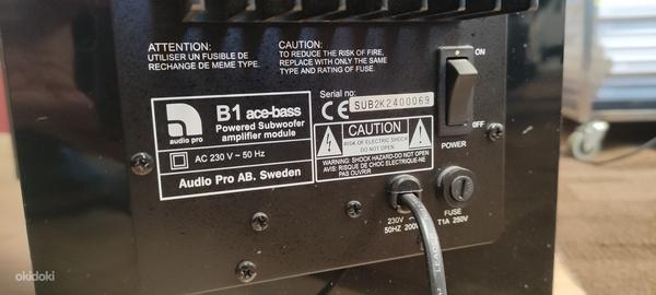 Võimsad audiofiili kõlarid Audio Pro Blue Diamond 1. Ver (foto #9)