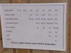 Viiulid (8 foto / 8)