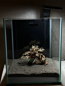 Akvaarium (2 foto / 3)