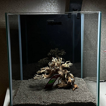 Akvaarium