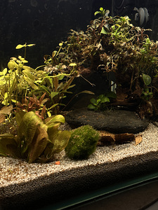 Akvaarium (3 foto / 3)