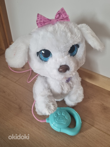 Mängukoer