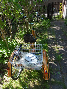 3-rattaline suure korviga täiskasvanute jalgratas (2 foto / 3)