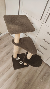 Когтеточка (3 фото из 3)