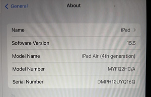 iPad Air 10.9 64gb WiFi(4th generation) (4 foto / 5)
