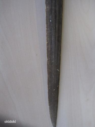 Nina kala-mõõk (foto #3)