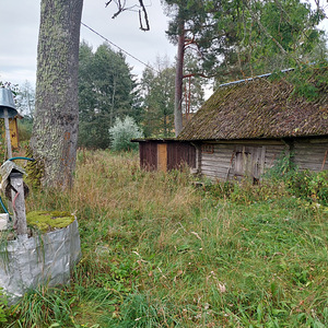 Adraku, Mustvee vald, Jõgevamaa (4 foto / 9)