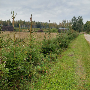 Adraku, Mustvee vald, Jõgevamaa (3 foto / 9)