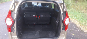 Dacia Lodgi 2020 (11 foto / 15)