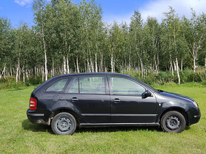 Skoda Fabia (3 foto / 9)