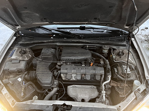Honda civic (15 foto / 15)