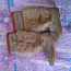 Дитячі замшеві чоботи fornarina (фото #1)