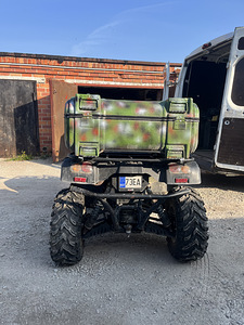 Xin Yang Mastiff 500 (3 foto / 7)
