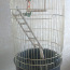 Італійська клітка для папуг (фото #2)