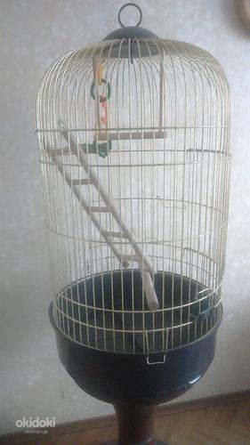 Итальянская клетка для попугаев (фото #2)