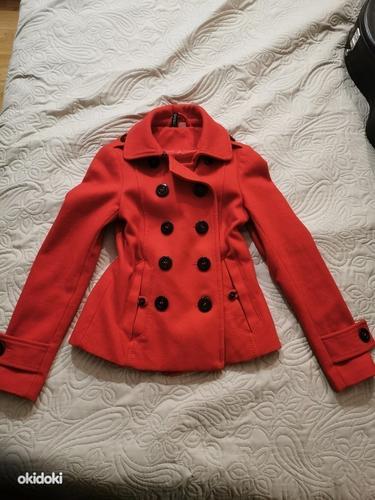 Красное пальто (фото #1)