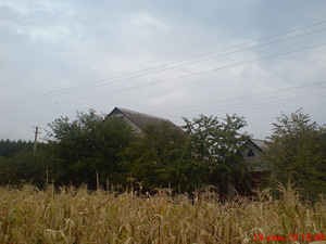 Будинок (7 фото з 7)