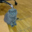 Котята шотландской віслоухой (фото #2)