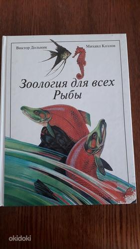 Зоология для всех. Рыбы. Книга на русском языке (фото #1)