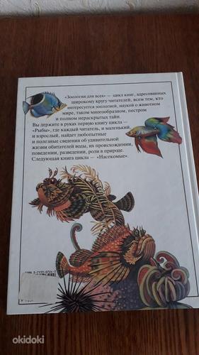 Зоология для всех. Рыбы. Книга на русском языке (фото #2)