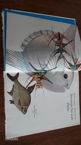 Зоология для всех. Рыбы. Книга на русском языке (фото #3)