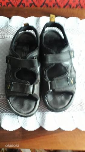 Мужские кожаные сандалии фирмы Camel Active, размер 43 (фото #1)