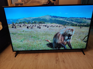 65" LG 4K UHD teler SmartTV (1 foto / 5)