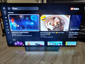 55" LG OLED 4K teler SmartTV Dolby (3 foto / 5)