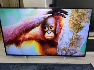 65" Philips 4K UHD teler SmartTV (1 foto / 5)
