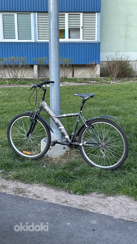 TopGear MTB 26” jalgratas