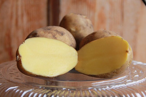 Картофель продовольственный от производителя
