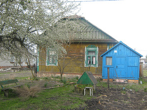 Дом, Брестская область, Столинский район, д. Ольшаны