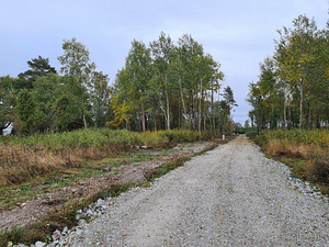 Pihlaõie, Jabara, Lüganuse vald, Ida-Virumaa (3 foto / 4)