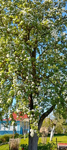Sputniku AÜ 477, Sillamäe, Ida-Virumaa (2 foto / 15)