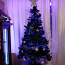 Рождественская елка (фото #1)