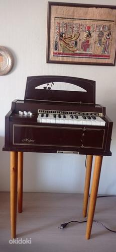 Electric chord organ "Magnus" (foto #4)