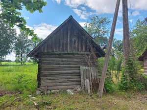 Бревенчатая сауна (6 фото из 9)