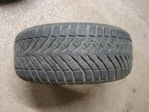 Autorehvid: Neolin Neowinter M+S, 225/50-17 (3 foto / 4)