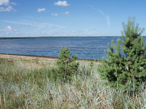 Lasteaia tn 4, Loksa, Harjumaa (14 foto / 14)