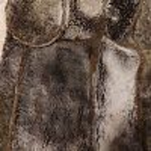 Naturaalne Dubljonka(meeste kasukas) (6 foto / 7)