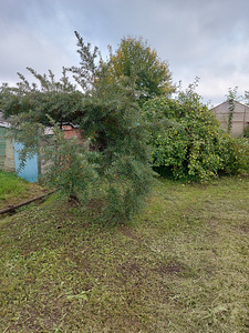 Sputniku AÜ 629, Sillamäe, Ida-Virumaa (10 foto / 14)