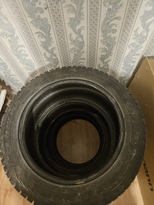Talverehvid Nokian 215/55 R17 98T XL (5 foto / 7)